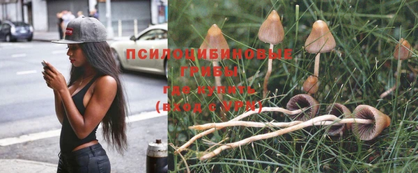 твердый Алексеевка