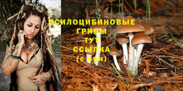 твердый Алексеевка
