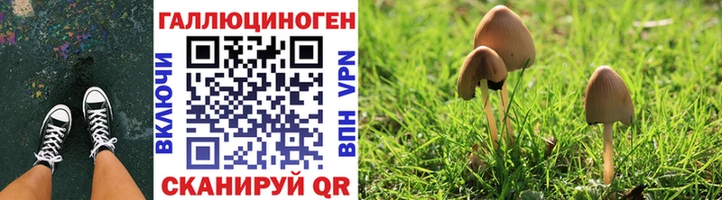 OMG рабочий сайт Мамоново Псилоцибиновые грибы GOLDEN TEACHER даркнет сайт